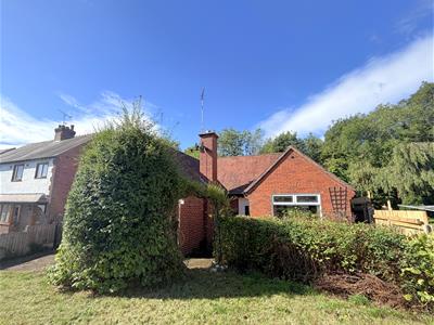 Picture 19